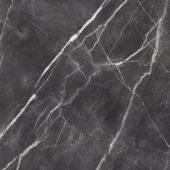 Royal Stoneworks 48X48 Tuscan Forge Vein Polished | World Tile Company