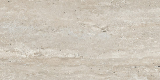 Saturnia 12x24 Silver Matte | World Tile Company