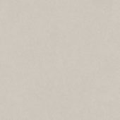 Serena 24X24 Crater | World Tile Company