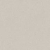 Serena 48X48 Crater | World Tile Company