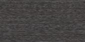 Zera Annex 12x24 Carbon | World Tile Company